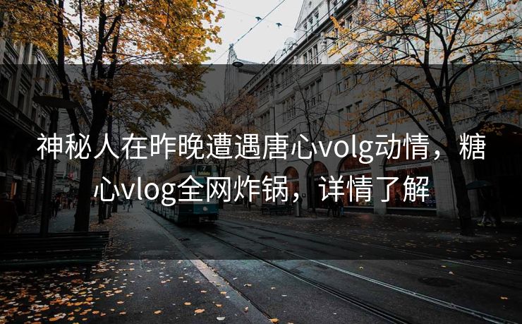 神秘人在昨晚遭遇唐心volg动情，糖心vlog全网炸锅，详情了解