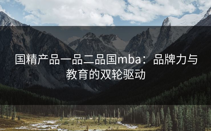 国精产品一品二品国mba：品牌力与教育的双轮驱动