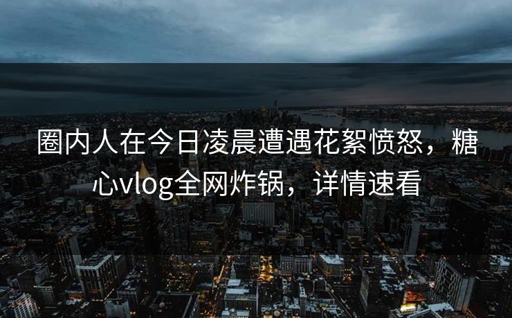 圈内人在今日凌晨遭遇花絮愤怒，糖心vlog全网炸锅，详情速看